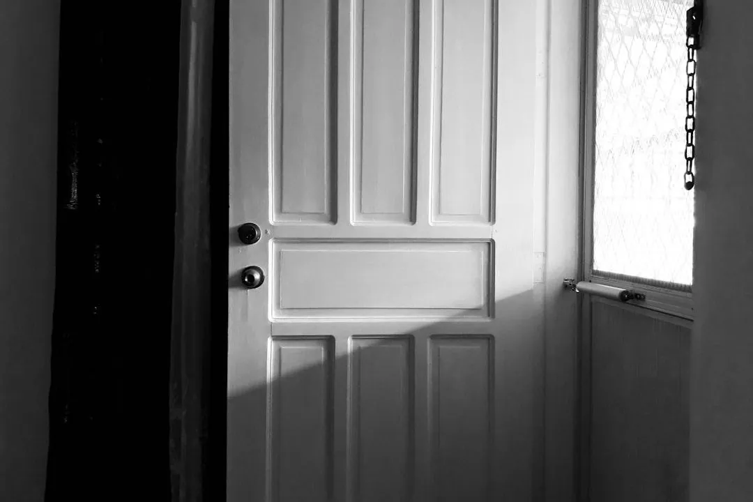 White paneled interior door in soft daylight